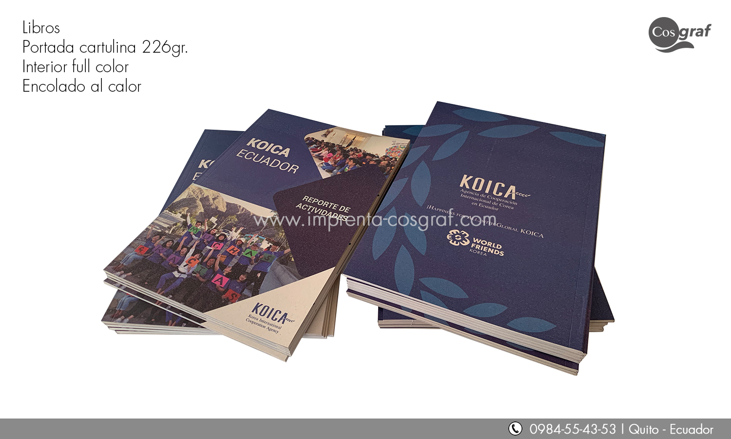 libros-brochure-folletos-manuales